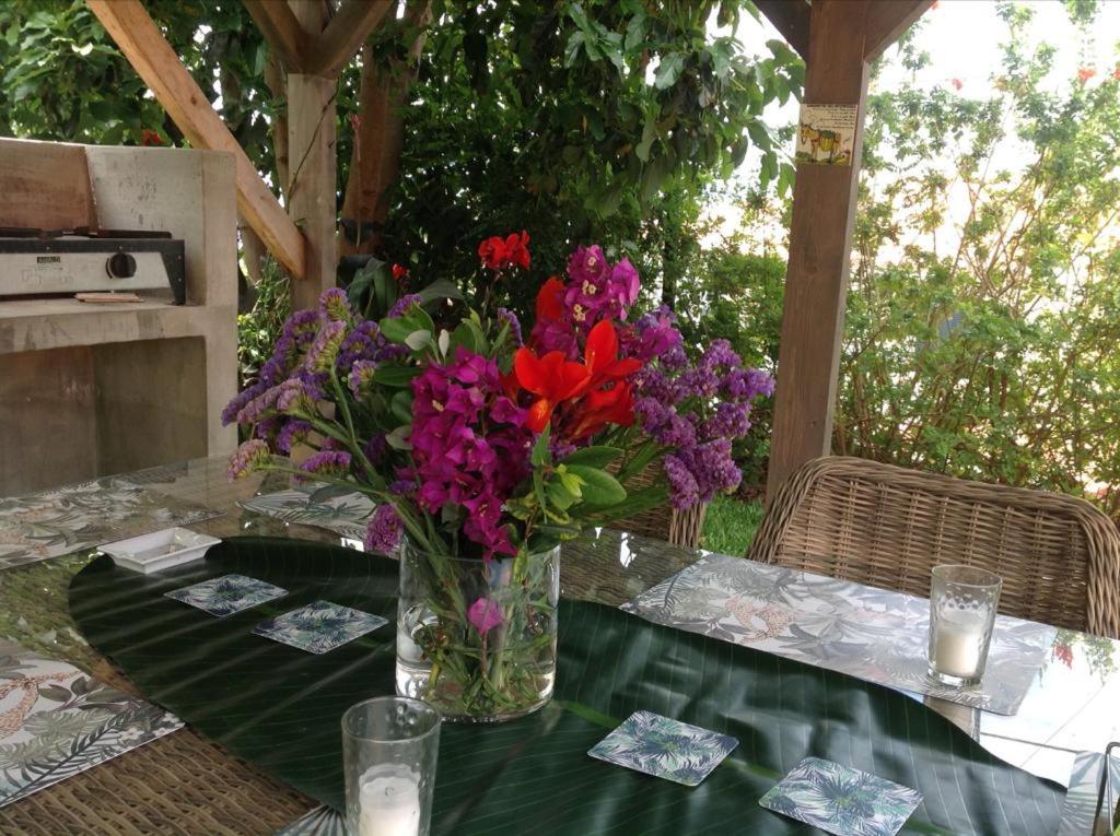 Casa Dos Gatos Villa กัลเลตา ภายนอก รูปภาพ